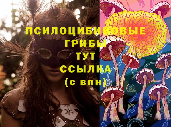 ПСИЛОЦИБИНОВЫЕ ГРИБЫ Бронницы
