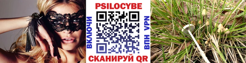 ссылка на мегу ССЫЛКА  сколько стоит  Кинешма  Псилоцибиновые грибы Psilocybine cubensis 